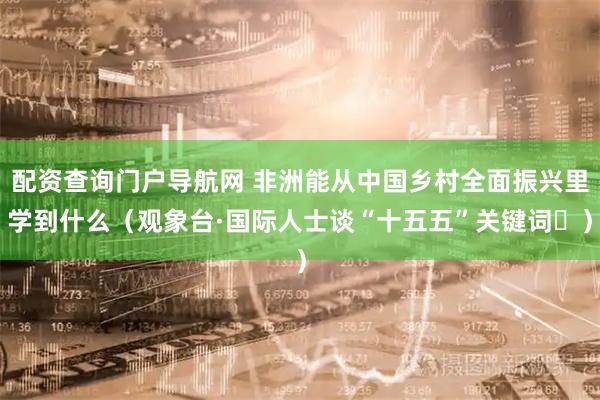 配资查询门户导航网 非洲能从中国乡村全面振兴里学到什么（观象台·国际人士谈“十五五”关键词⑭）